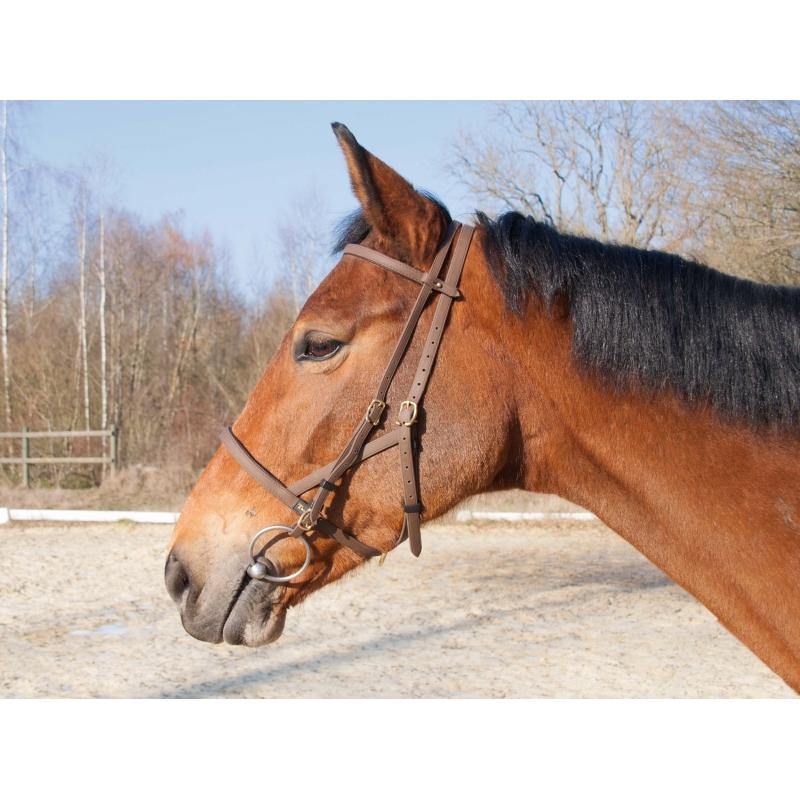 Biotack Bridon Licol - SHOP HORSE